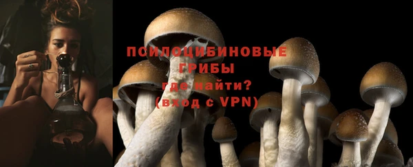 МДМА Арсеньев