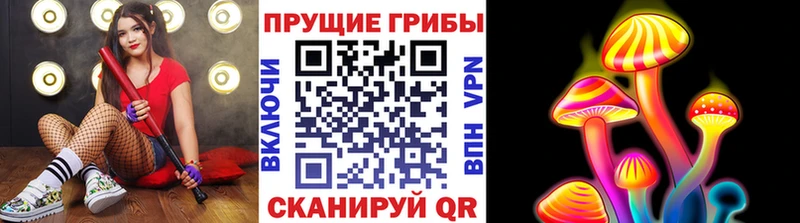 Купить где Райчихинск Галлюциногенные грибы прущие грибы